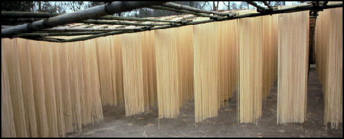 20080315-factory-noodles-2 Nolls.jpg